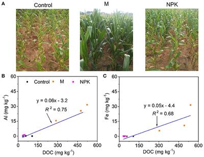 Visualizing Mineral-Associated Organic Matters in Long-Term Fertilization Treated Soils by NanoSIMS and SR-FTIR